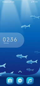 Ocean_3MDP