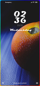 Premium_Froot
