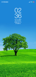 绿野一棵树
