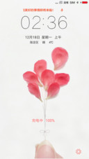简色花瓣