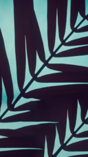 Plant4
