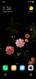 Flower in the dark