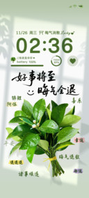 大图标柚子叶去晦气