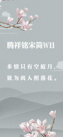 腾祥铭宋简W11