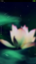 爱莲之印象