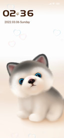 Cute husky