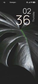 Shadow Foliage
