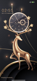 deer