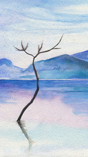 Dream illustration-05