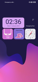 Rose Ui V14