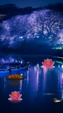 河边的夜色