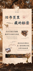 旧书页里藏的秘密