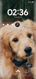 Puppy_Two