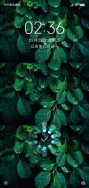 露水