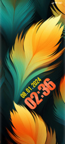 colorful feathers