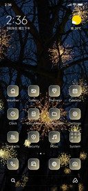 Night Tree