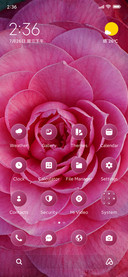 Pink Bloom