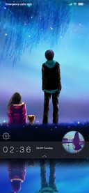 The future
