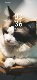 Puss