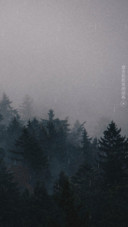 雨的印记