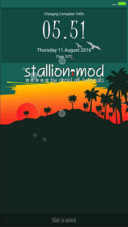 Stallion  In Designs 
