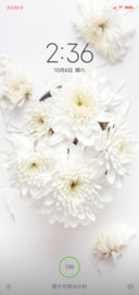 心花