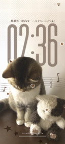 毛茸茸忧郁小猫