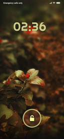 BUSH_DWM3