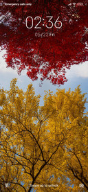 Leaf_3MDS