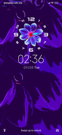 Petals_DWM20