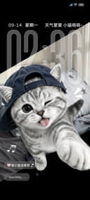 重感 小猫萌萌嘟