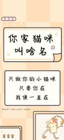 你家猫咪叫啥名