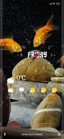 Golden Fish