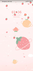 Strawberry Fruit