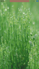 晨露（动态锁屏+落雨桌面）