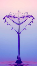 Water drop6
