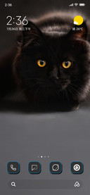 Blue Eyes