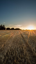 Sunset scenery of farmland in Aberdeenshire, Scotland