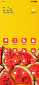Juicy Watermelon