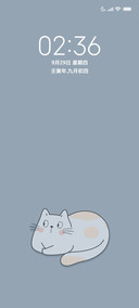猫一只