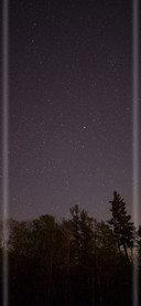 星河树影