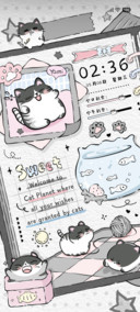 猫爪派对