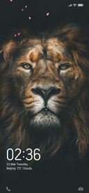 Lion