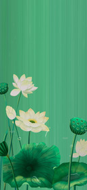 清荷
