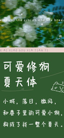 可爱修狗夏天体