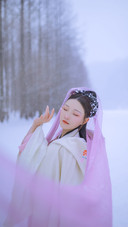 雪地精灵
