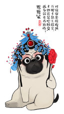 爷，我美吗？