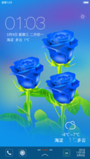 蓝玫瑰【真挚纯洁的爱情】