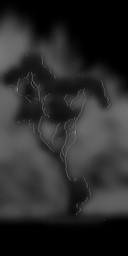 foggy tree 10