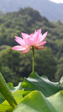 The gift of nature